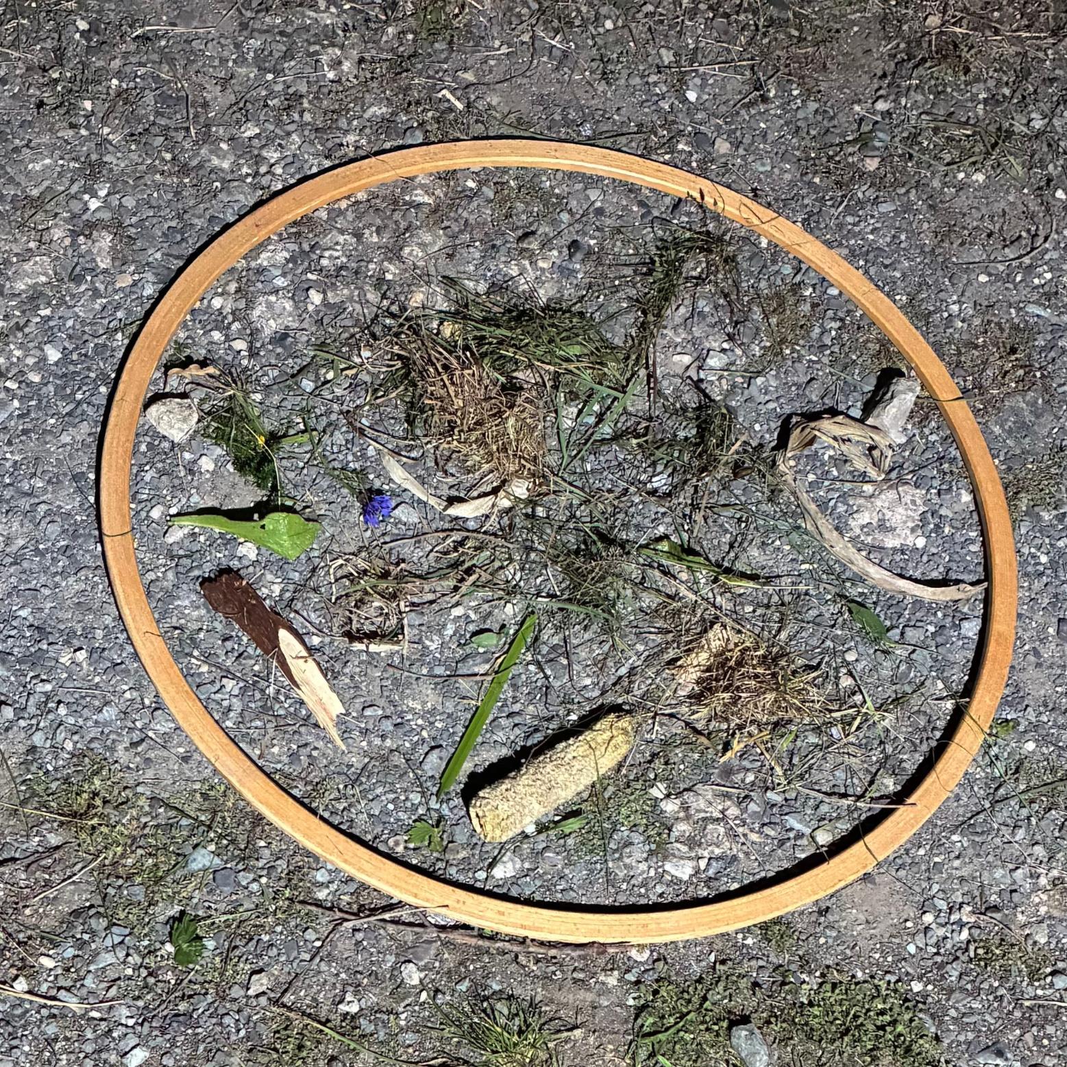 Zu sehen ist das gelegte Naturmandala.