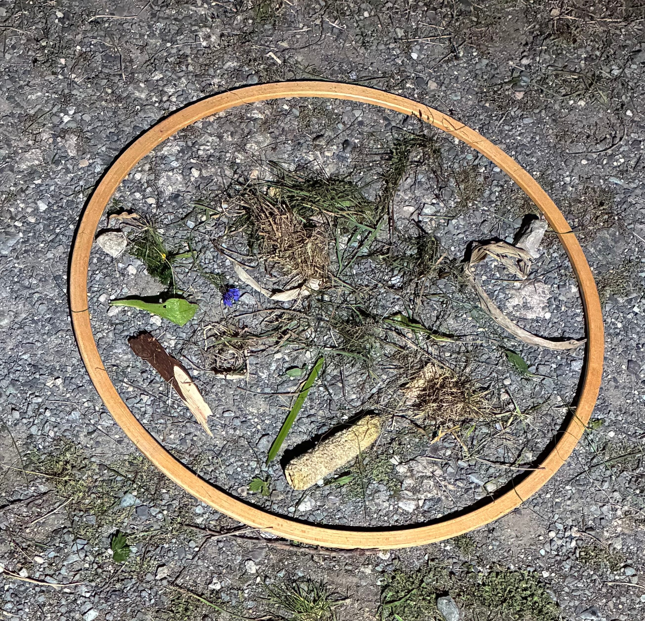 Zu sehen ist das gelegte Naturmandala.