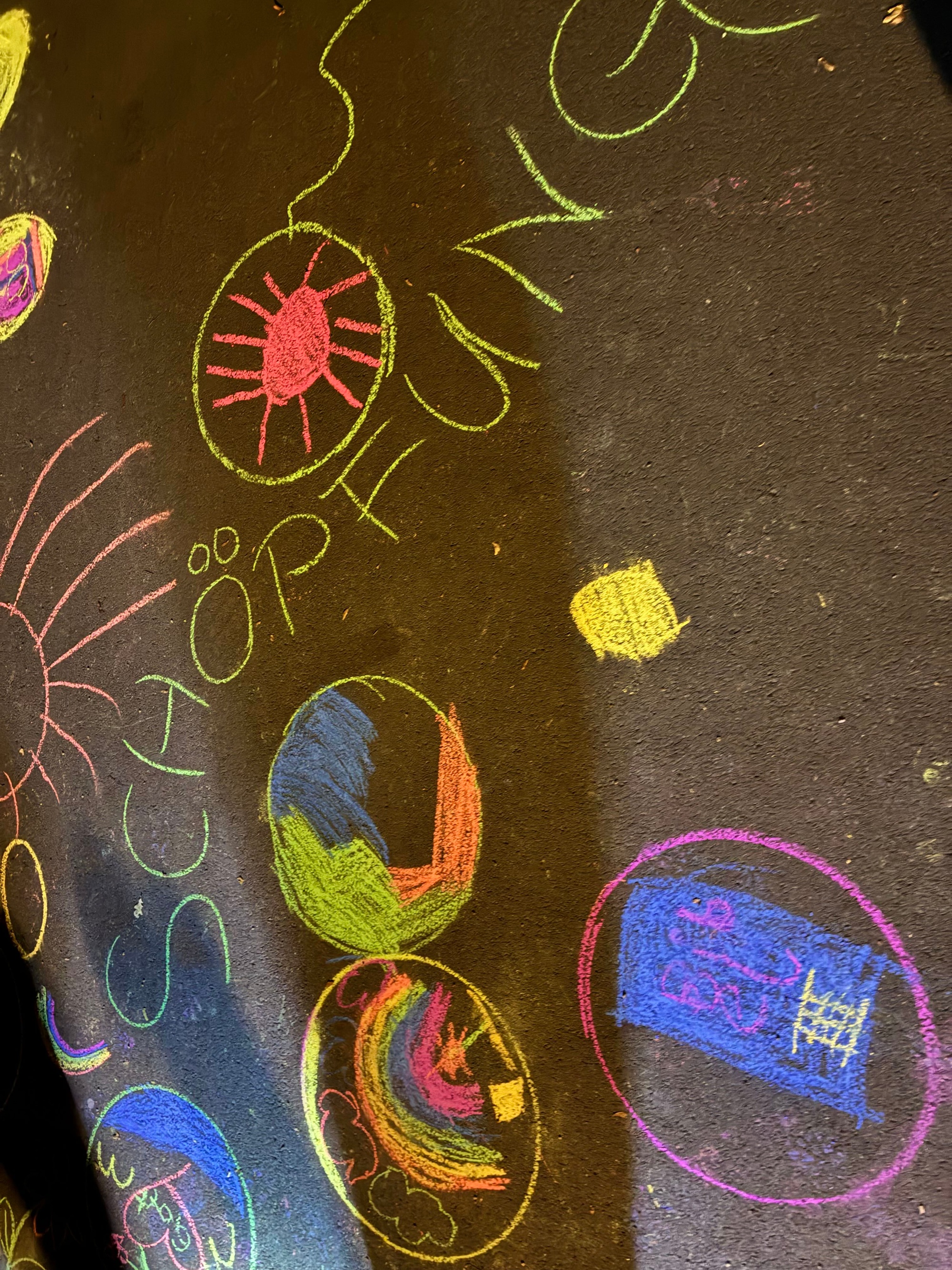 Es ist zu sehen, was die Kinder zum Thema 'Gottes Schöpfung' mit fluoreszierenden Kreidestiften auf den Asphalt gemalt haben.